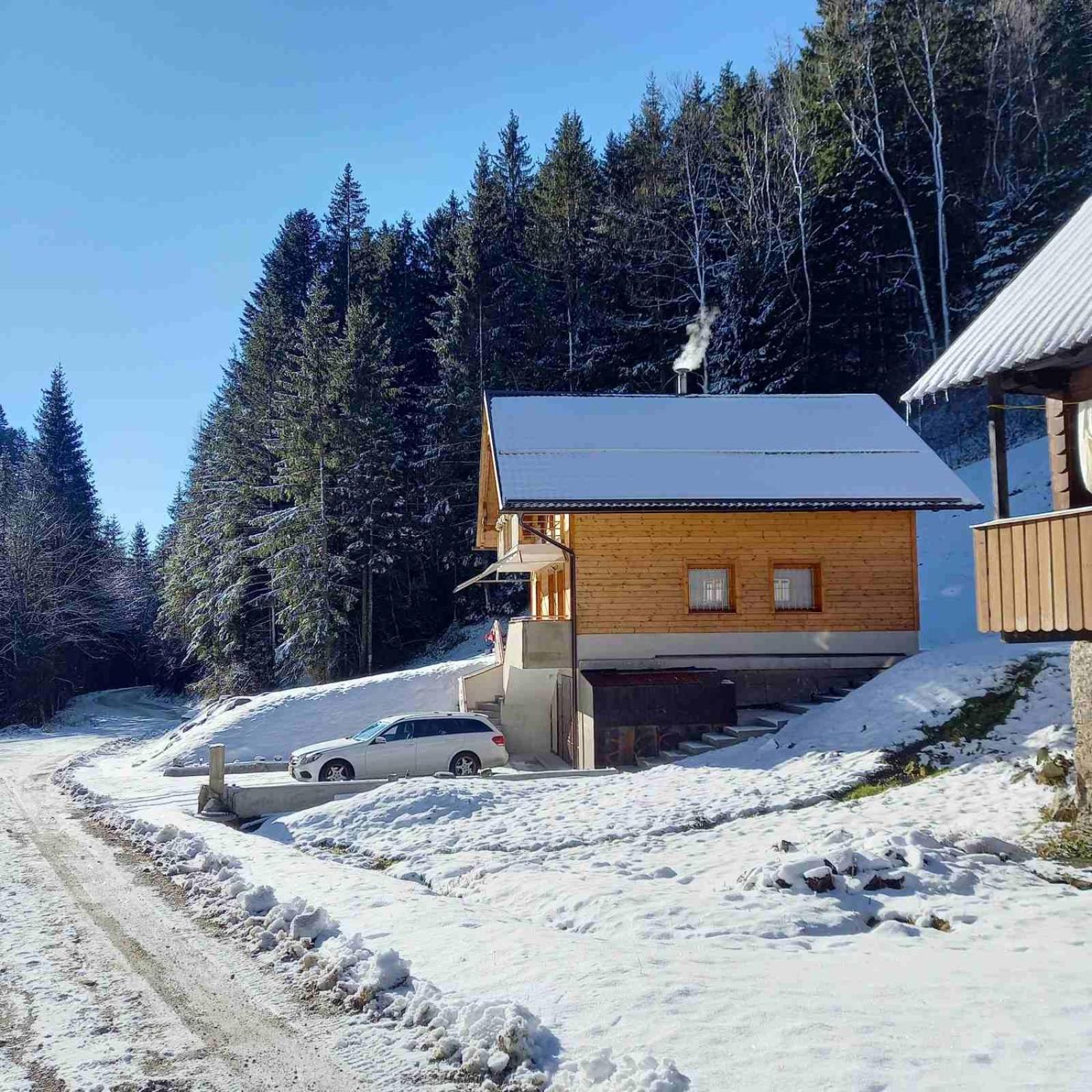 Hisa Lunna - Apartments In A Forest Paradise Vitanje Εξωτερικό φωτογραφία