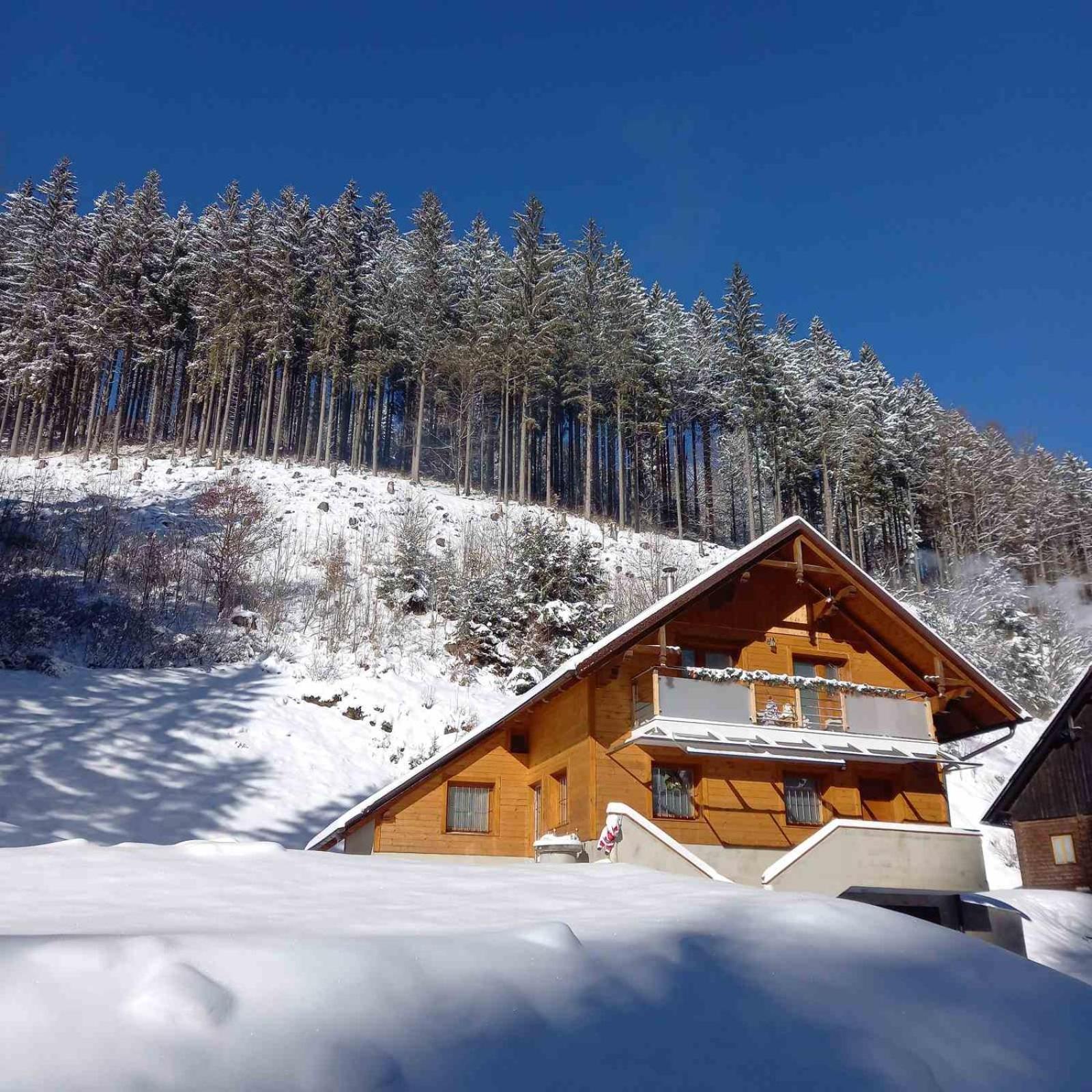 Hisa Lunna - Apartments In A Forest Paradise Vitanje Εξωτερικό φωτογραφία